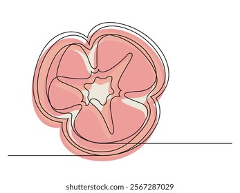 Continuous one line of sliced red bell pepper isolated on white background. Simple silhouette of vegetable. Hand drawn red bell pepper outline. Vector illustration
