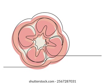 Continuous one line of sliced red bell pepper isolated on white background. Simple silhouette of vegetable. Hand drawn red bell pepper outline. Vector illustration