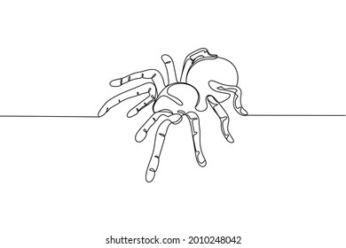 Continuous one line of spider tarantula brachypelma happy halloween day in silhouette on a white background. Linear stylized.Minimalist.