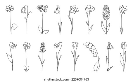 Continuous one line spring flowers. Botanicals silhouette, early flower and nature beauty hand drawn vector illustration set. Floral elements, tulip, poppy, daffodil blossom with leaves