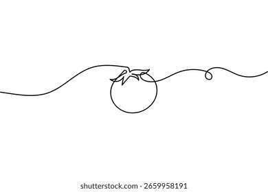Dibujo continuo de una línea de tomate Vector de contorno de estilo mínimo ilustración aislada