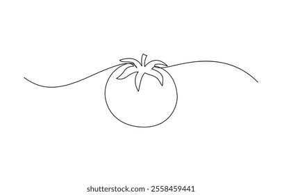 Continuous one line tomato for grocery store, Tomato in continuous line art drawing style. Ripe tomato fruit black linear sketch isolated, Single one line drawing half sliced healthy organic tomato.