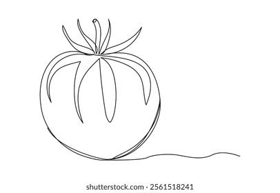 Continuous one line tomato for grocery store printing Linear style Vector,
Vector illustration of tomato isolated on white background for kids,