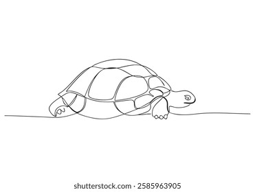 Continuous One Line Turtle | Minimalist Animal Vector Illustration