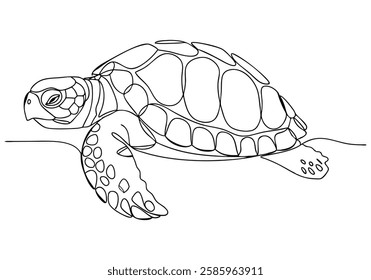 Continuous One Line Turtle | Minimalist Animal Vector Illustration