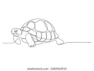 Continuous One Line Turtle | Minimalist Animal Vector Illustration