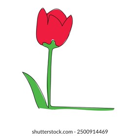 Continuous one single line drawing beauty tulip flower vector. Minimal tropical floral style, love romantic concept. Blooming plants. Illustration design for logo, wedding, invitation, decor.