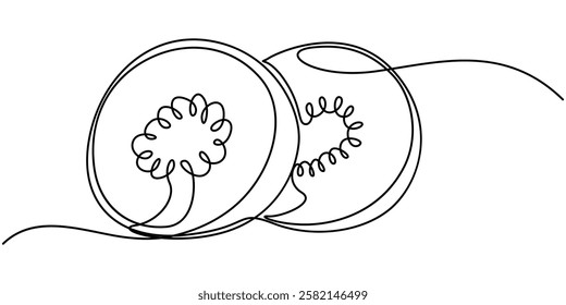 Continuous one single line drawing of kiwi fruit. Vector illustration, Continuous one line drawing of whole and sliced healthy organic kiwi for orchard logo identity. Fresh hairy fruitage concept.