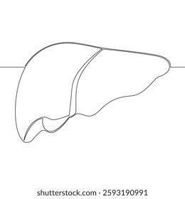 Continuous one single line drawing Human Liver, Ideal for Educational, Scientific, and Healthcare Applications icon vector illustration concept