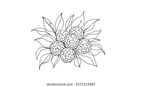 Continuous one single minimal line drawing lychee