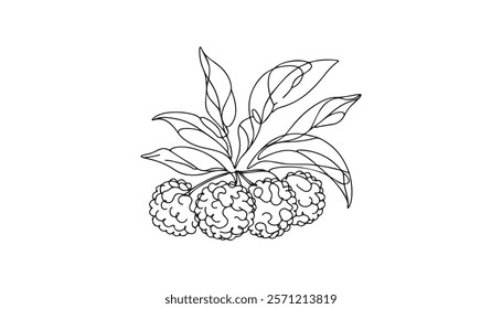 Continuous one single minimal line drawing lychee