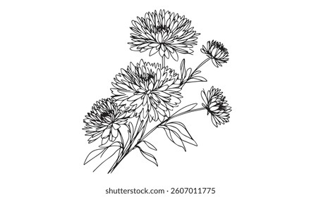 Continuous one single minimal line drawing Dahlia