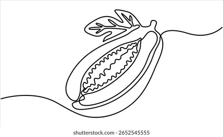 Continuous one single minimal line drawing papaya. Continuous single one line drawing of fresh papaya exotic tropical fruit vector illustration.