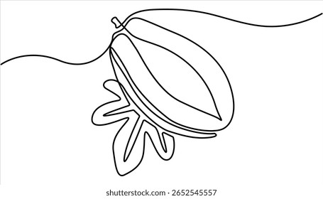 Continuous one single minimal line drawing papaya. Continuous single one line drawing of fresh papaya exotic tropical fruit vector illustration.