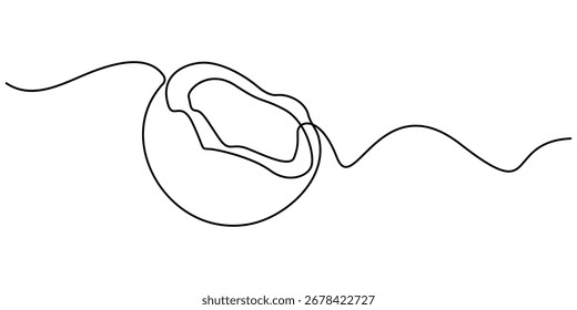 Contínuo um único coco de desenho de linha mínima, único desenho de linha contínua da ilustração vetorial do Dia Mundial do Coco. Conceito de frutado fresco para ícone de jardim de frutas. Estrutura de tópicos editável