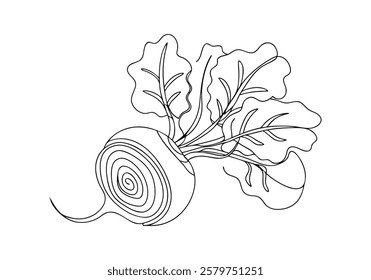 Continuous One-Line Drawing of a Beetroot - Minimalist Vegetable Art