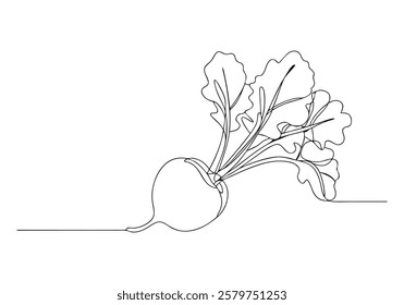 Continuous One-Line Drawing of a Beetroot - Minimalist Vegetable Art