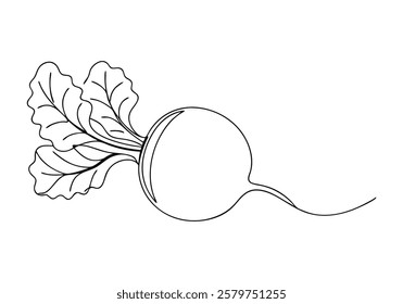 Continuous One-Line Drawing of a Beetroot - Minimalist Vegetable Art