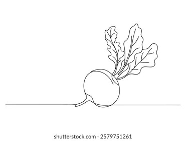 Continuous One-Line Drawing of a Beetroot - Minimalist Vegetable Art