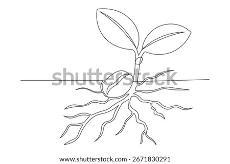 Continuous one-line drawing of coffee seed germination step by step growth plane