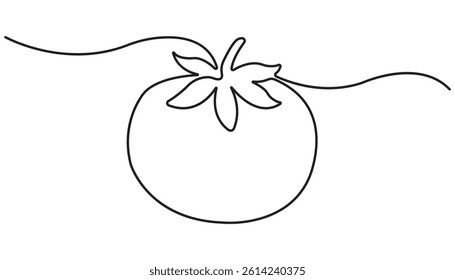Continuous one-line drawing of fresh tomato, Minimalist food concept isolated on a white background, Tomato vegetable. Tomato single line illustration