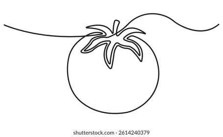 Continuous one-line drawing of fresh tomato, Minimalist food concept isolated on a white background, Tomato vegetable. Tomato single line illustration