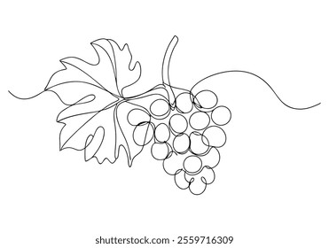 Continuous One-Line Drawing of Grapes - Minimalist Fruit Art