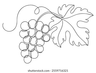 Continuous One-Line Drawing of Grapes - Minimalist Fruit Art