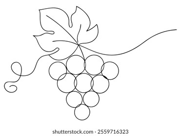 Continuous One-Line Drawing of Grapes - Minimalist Fruit Art