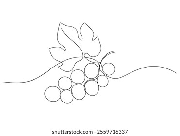 Continuous One-Line Drawing of Grapes - Minimalist Fruit Art