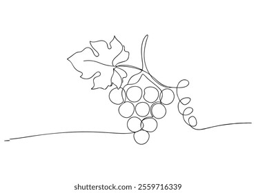 Continuous One-Line Drawing of Grapes - Minimalist Fruit Art
