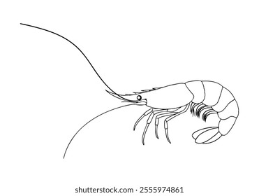 Continuous One-Line Drawing of a Shrimp - Elegant Minimalist Design
