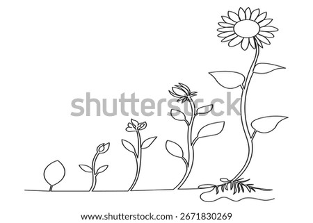 Continuous one-line drawing of a sunflower seed sprouting into a tall blooming sunflower 