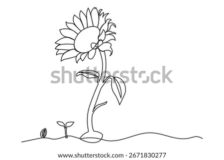 Continuous one-line drawing of a sunflower seed sprouting into a tall blooming sunflower