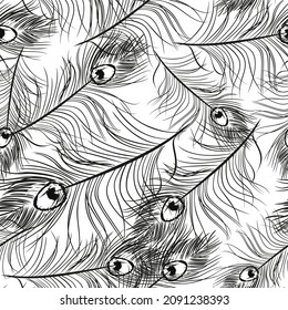 Continuous peacock feather design.Seamless pattern vector for textile industry.