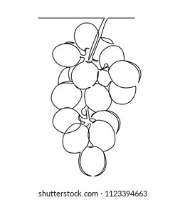 continuous single drawn one line grapes hand-drawn picture silhouette. Line art. bunch of grapes