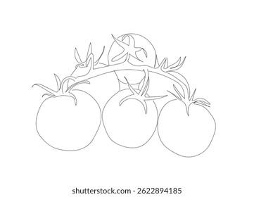 Continuous single drawn one line cherry tomatoes hand drawn picture silhouette. Line art doodle. Delicious and healthy ingredient for salads and seasonal food. Hand made vector not Al
