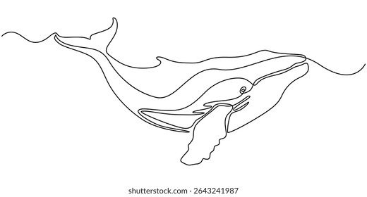 Continuous single drawn one line drawing of whale. Vector illustration, Continuous one line drawing of dolphin. Simple illustration of dolphin pair line art vector illustration, Continuous one line
