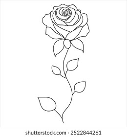 Continuous single line art drawing of beauty rose flower vector illustration