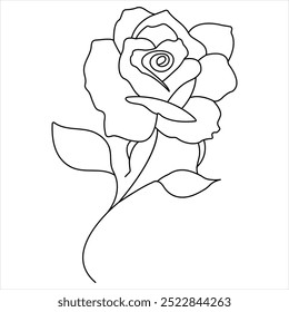 Continuous single line art drawing of beauty rose flower vector illustration