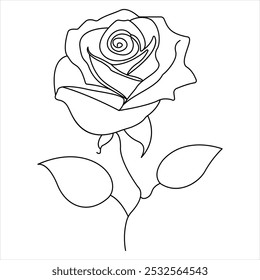 Continuous single line art drawing of beauty rose flower vector illustration