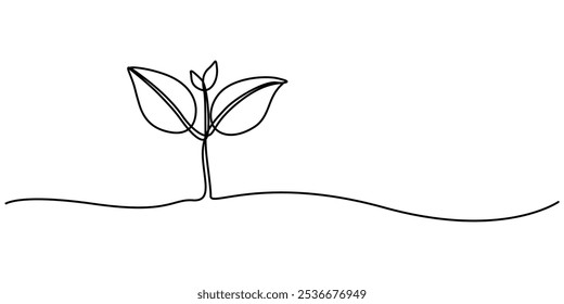 Desenho artístico de linha única contínuo do processamento do crescimento da planta do vetor do contorno da semente, Desenho de linha única de uma planta, Desenho de linha única de uma pequena planta, Desenho de linha contínua de uma planta