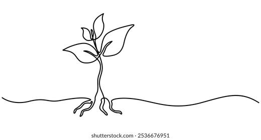 Dibujo continuo de una sola línea de procesamiento de crecimiento de plantas a partir del Vector de contorno de semillas, Dibujo de una sola línea de una planta, Dibujo de una sola línea de una planta Pequeña, Dibujo de línea continua de una planta