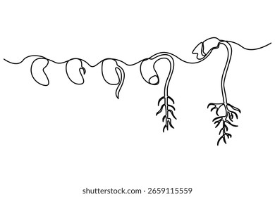 Parte de linha única contínua de germinação de sementes e fases de crescimento de plantas vetor botânico minimalista
