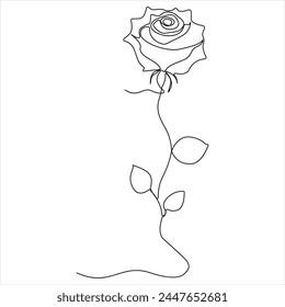 Continuous single line drawing of beautiful rose flowers outline  vector illustration