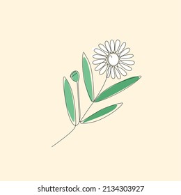 Continuous single line drawing Bhringraj, Eclipta Alba or Eclipta Prostrata, also known as False Daisy is an effective herbal medicinal plant in Ayurvedic medicine. vector illustration.