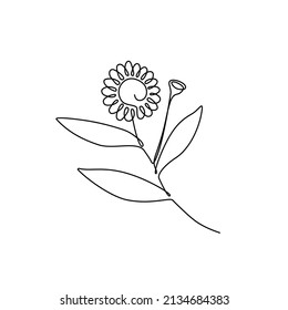 Continuous single line drawing Bhringraj, Eclipta Alba or Eclipta Prostrata, also known as False Daisy is an effective herbal medicinal plant in Ayurvedic medicine. vector illustration.