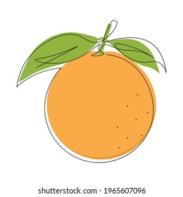 Continuous single line drawing of citrus fruit with orange color. One line drawing of a whole orange fruit. Abstract minimalistic style. Continuous line citrus fruit.  Isolated vector illustration.