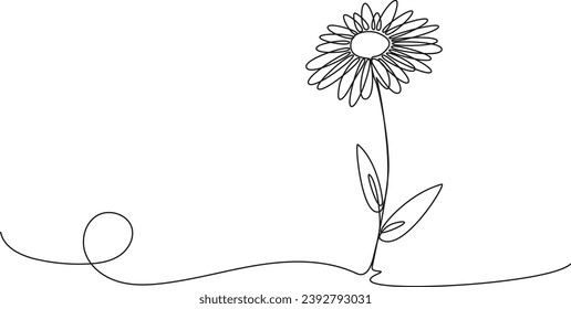 continuous single line drawing of daisy flower, line art vector illustration