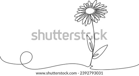 continuous single line drawing of daisy flower, line art vector illustration ストックフォト © 
